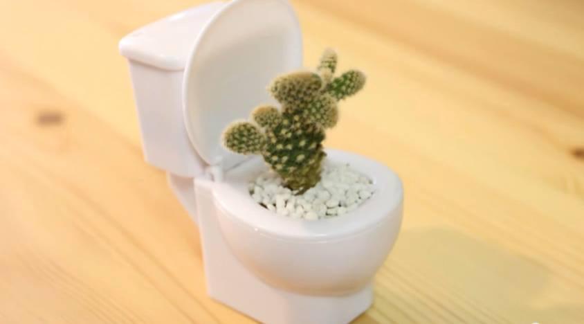 Bộ sản phẩm làm kẹo vui nhộn Japanese Toilet Candy 3