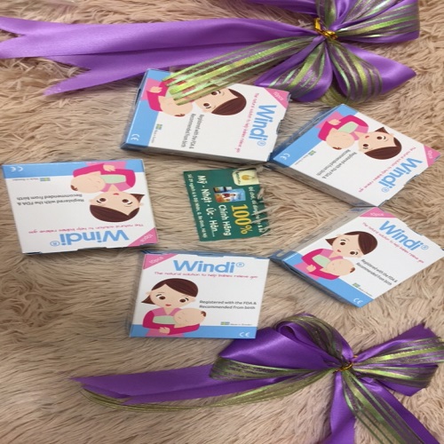 ỐNG THÔNG HƠI WINDI