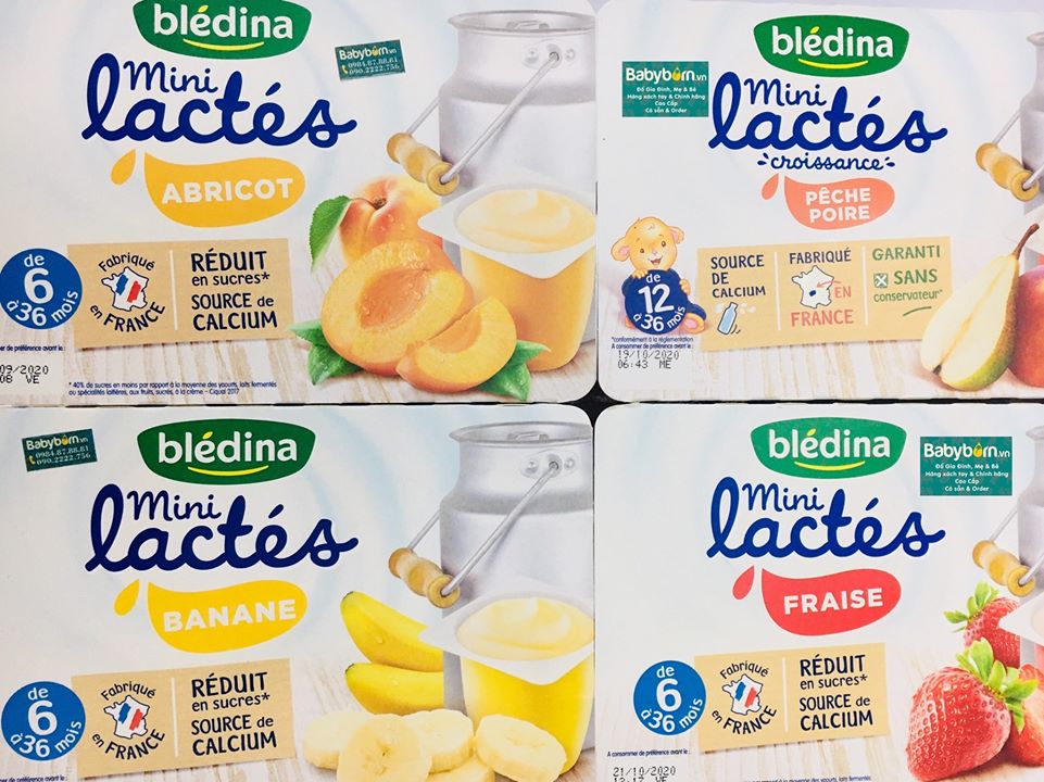 Sữa Chua  nguội cho bé Bledine - Pháp