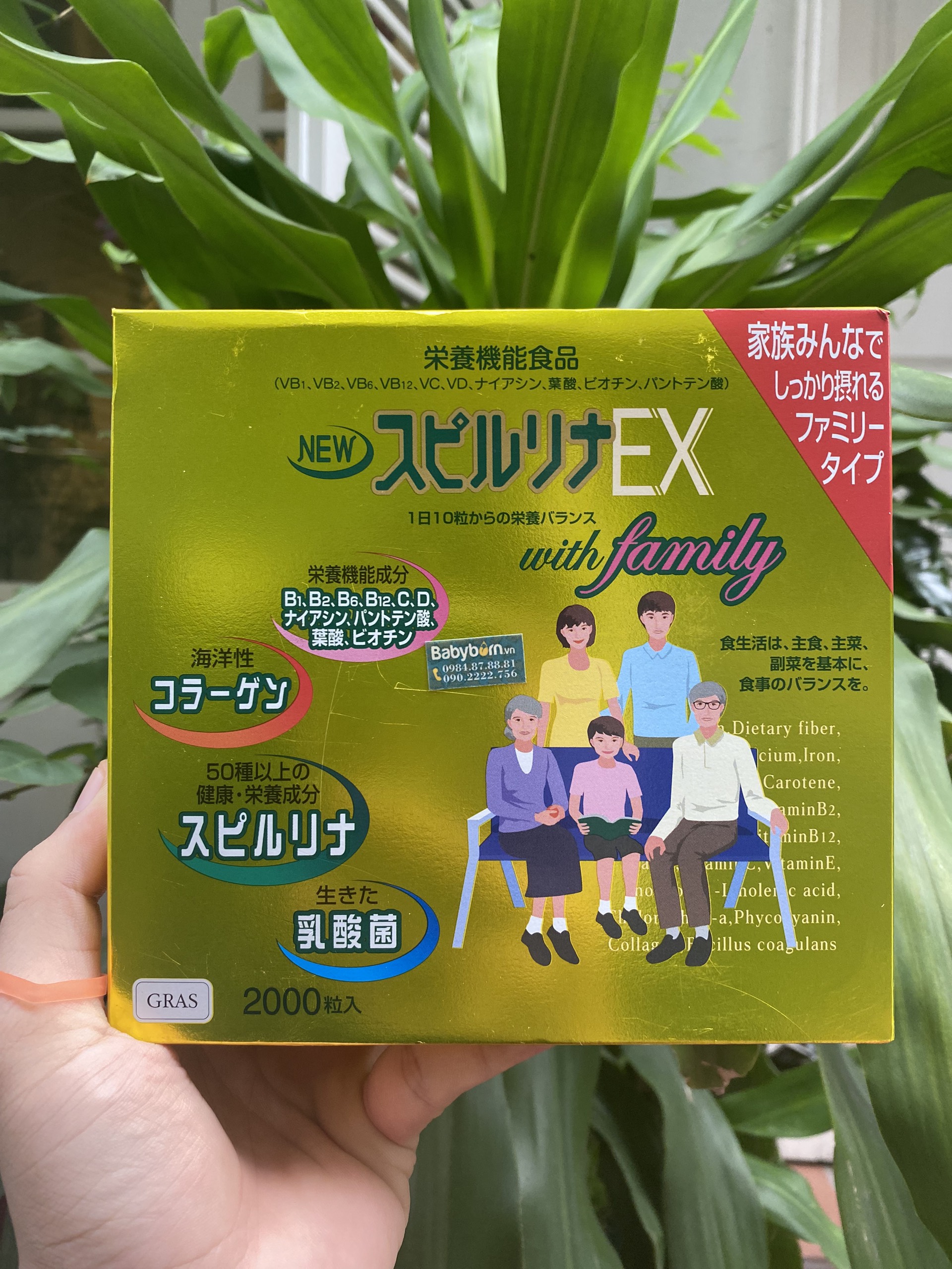 Tảo vàng EX Nhật Bản